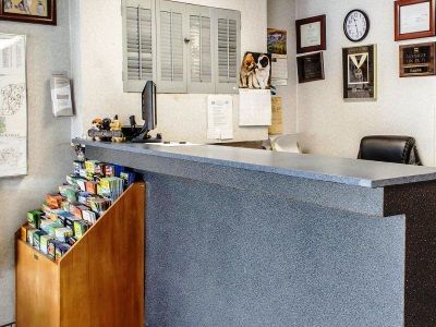 Econo Lodge Frackville Zewnętrze zdjęcie